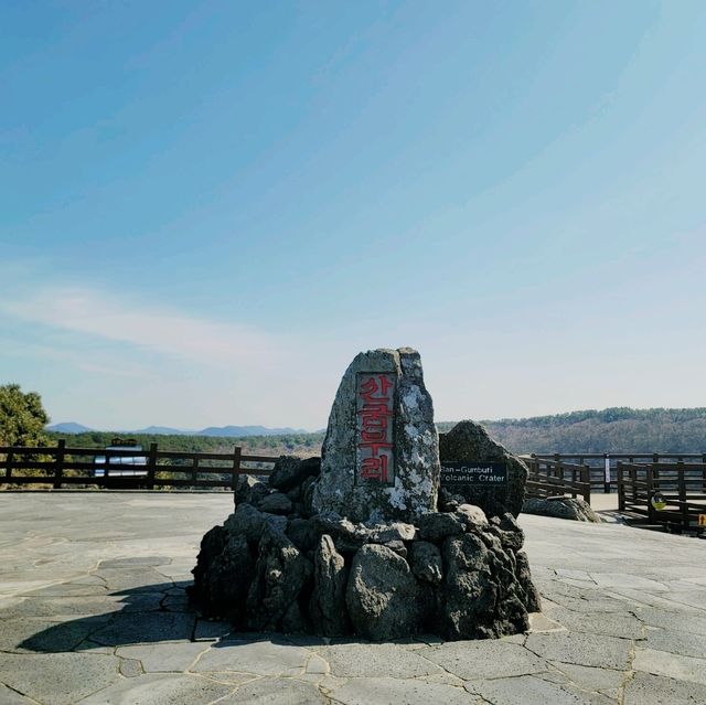 산굼부리, 금빛 억새로 출렁이다💕