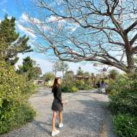 คาเฟ่ฟีลธรรมชาติ