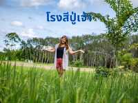 โรงสีปู่เจ้า เที่ยววิถีเกษตร 