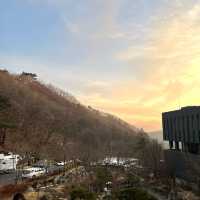 머무는 시간 내내 힐링가득한 숲속 리조트