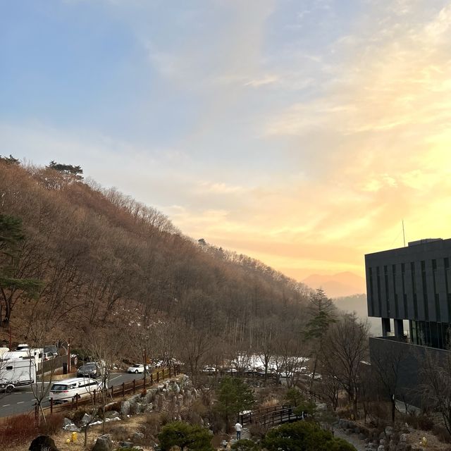 머무는 시간 내내 힐링가득한 숲속 리조트