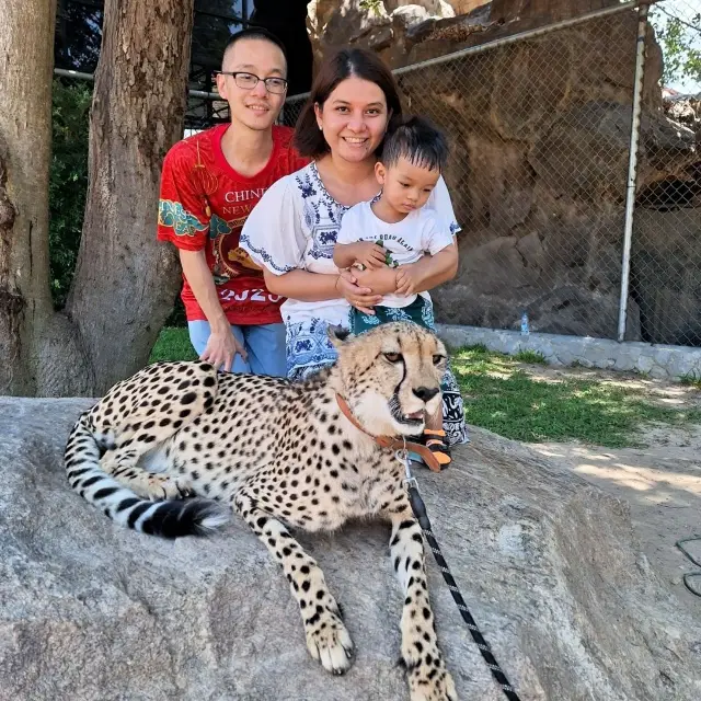 สวนสัตว์หัวหินซาฟารี Huahin safari