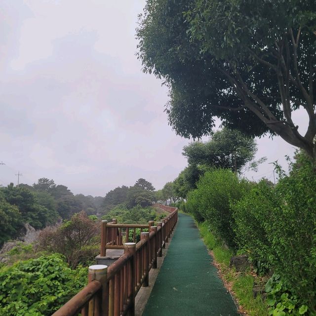 제주 서귀포 여행의 인기 하구 쇠소깍