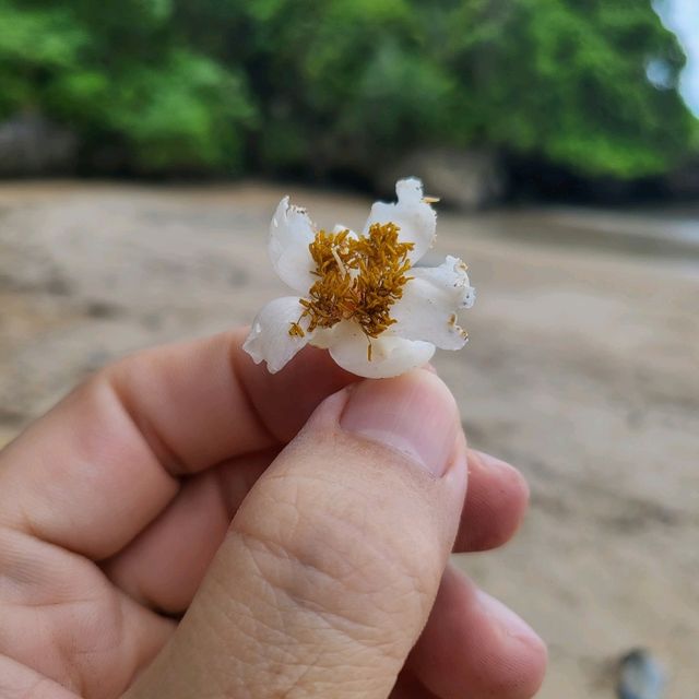 หาดไผ่ปล้อง อ่าวนาง 