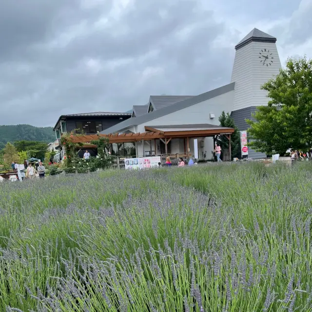 【ペットとお出かけ】ラベンダーまつり開催中の大石公園へ！