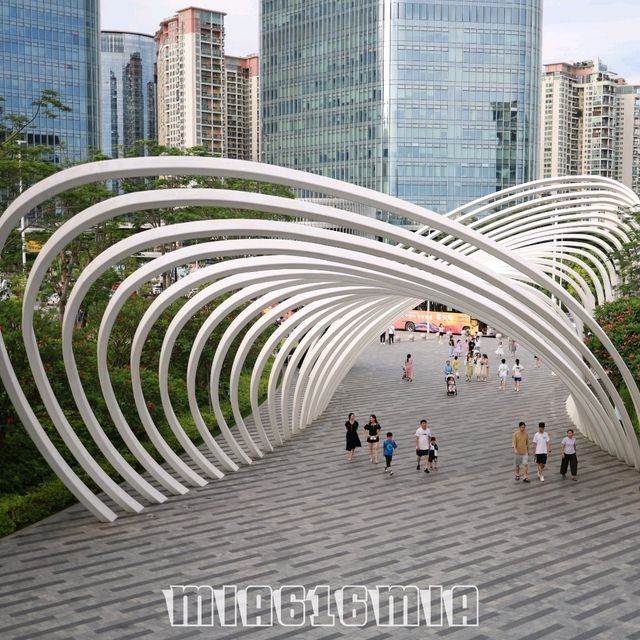 深圳歡樂港灣摩天輪🎡鐘書館📚