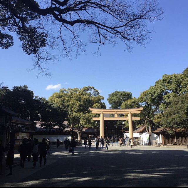 🏯일본 근대 역사가 담긴 신주쿠 메이지 신궁 ! 