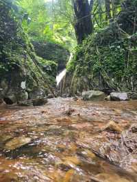 เดินป่า one day trip น้ำตกโกรกอีดก