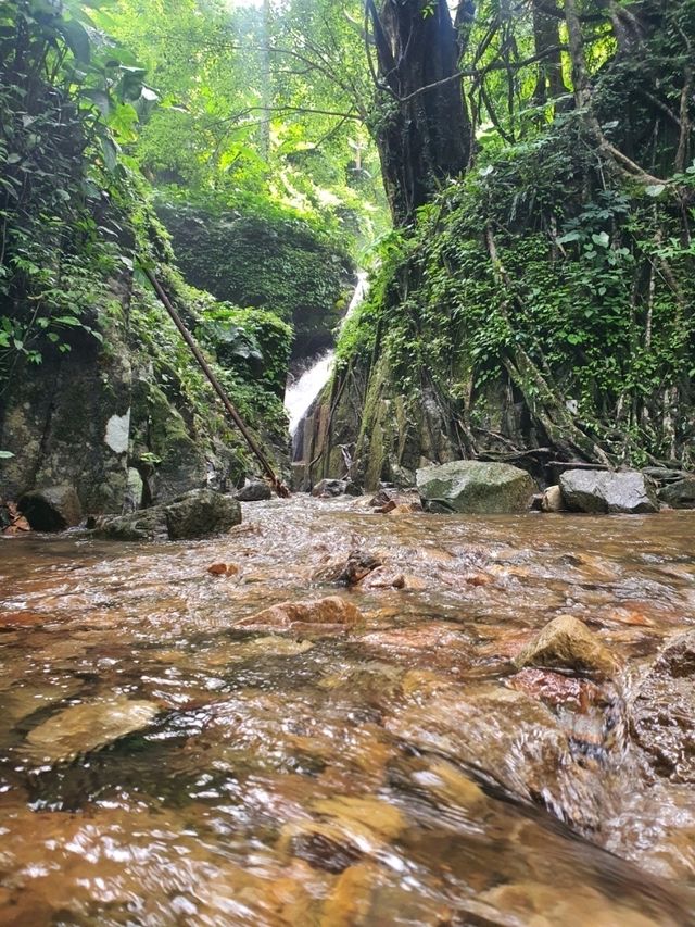 เดินป่า one day trip น้ำตกโกรกอีดก