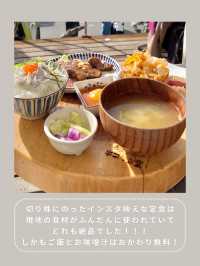 【鎌倉】わんこと行ける絶品定食🌴