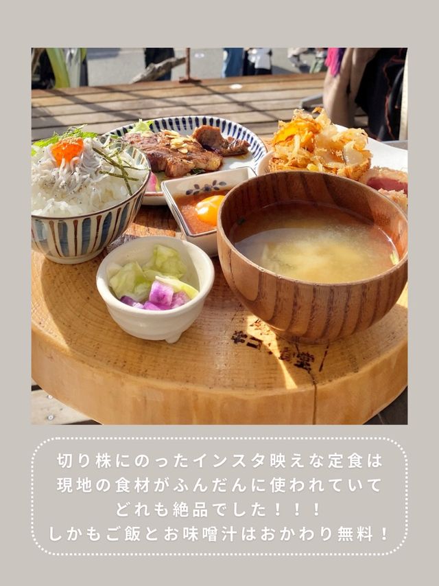 【鎌倉】わんこと行ける絶品定食🌴