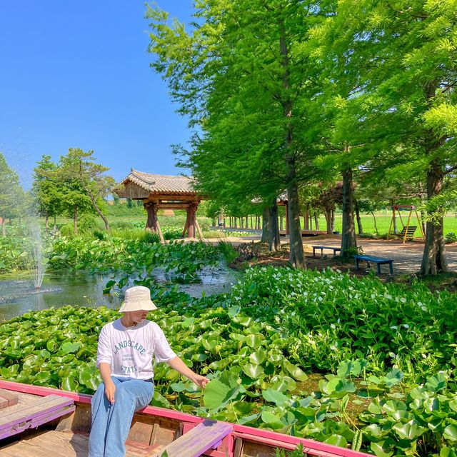 태안 수국 명소 청산수목원