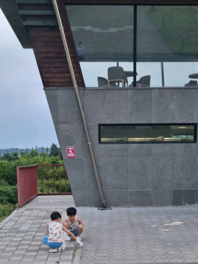 야생조류생태공원에서의 플로깅