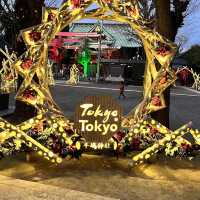 Unique Shrine In Tokyo 