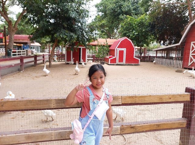 พาถ่ายรูปสวย ตะลุยชมสัตว์ @ ฟาร์มแกะพัทยา