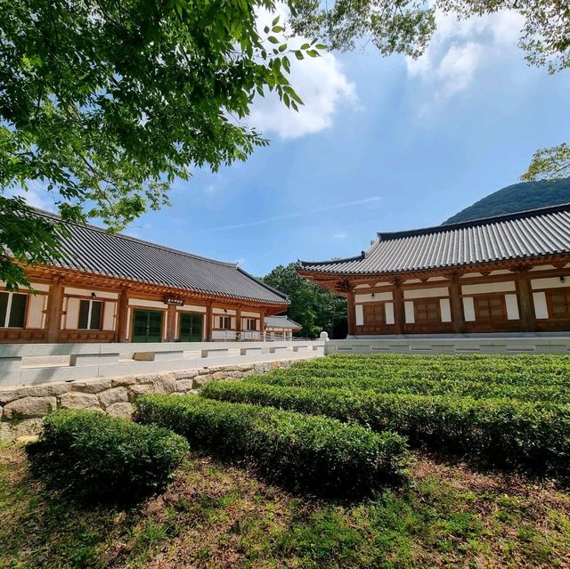 일제에서 돌아온 지장보살
