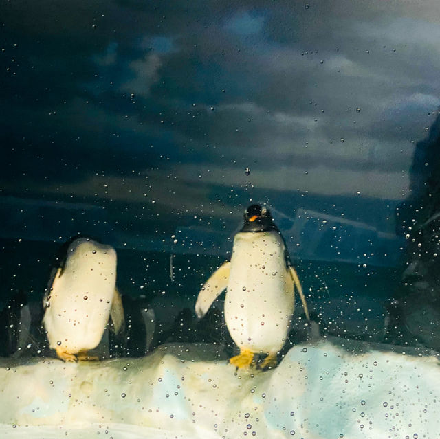 พิพิธภัณฑ์สัตว์น้ำท่าเรือนาโกย่า 名古屋港水族館