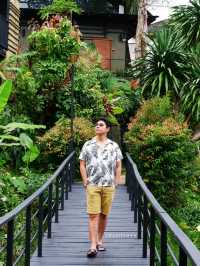 The Mangrove by Blu Monkey 