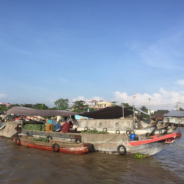 Floating market in Vietnam 🇻🇳 