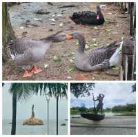 悠閒嘅珠海海濱公園