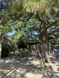 勉強の神様がいる萩の神社