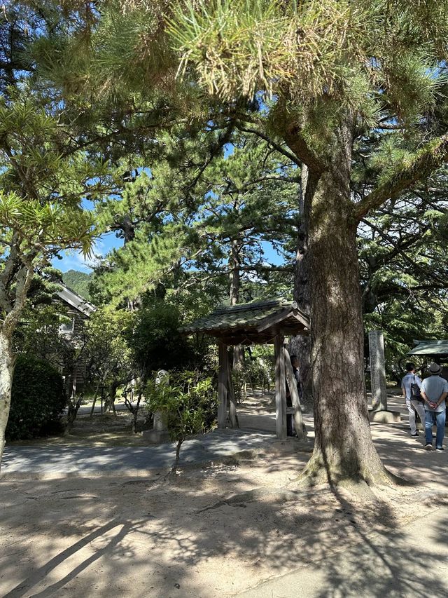 勉強の神様がいる萩の神社