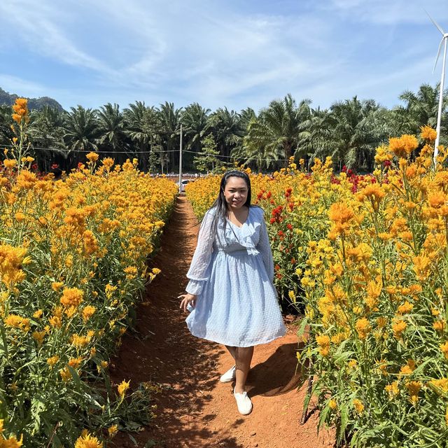 สวนดอกไม้ ไร่คุณอารียา @ กระบี่ 