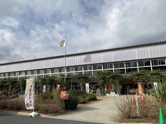 【千葉】廃校を使った道の駅【保田小学校】