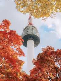 首爾🍁南山白凡公園｜秋天必到景點🍂｜照顧心靈健康