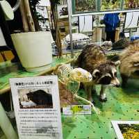 位在北海道北邊的枝幸町博物館
