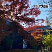 【知多半島】半六庭園で紅葉鑑賞