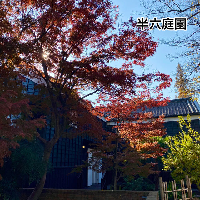 【知多半島】半六庭園で紅葉鑑賞