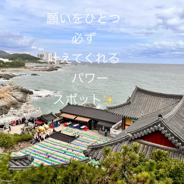 【海東龍宮寺】本当に行って良かった！パワースポット🥰