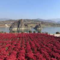 Dayang South Korea in Autumn