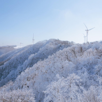 풍차와 함께 하얀눈밭이 가득한 삼양목장❄️