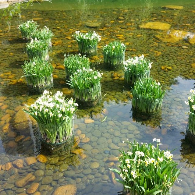親子好去處—香港公園