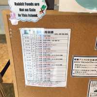幸運的一天🐰大久野島