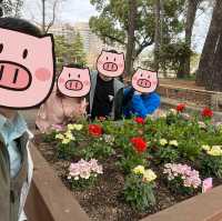 名古屋 - 鶴舞公園 休閑走一走吃醬油丸子～