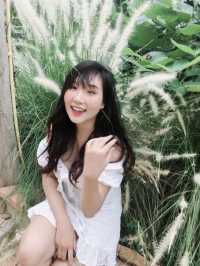 คาเฟ่สันป่าตอง! 🍃