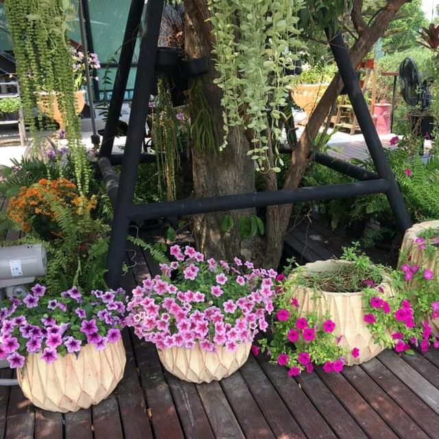 Organ by SmartNineFarm ร้านอาหารเพื่อคนรักสุขภาพ​