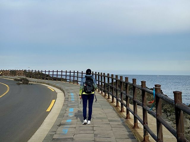 Jeju Ollie trails !!