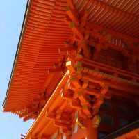 上賀茂神社の桜は五分咲きで華やかだった。