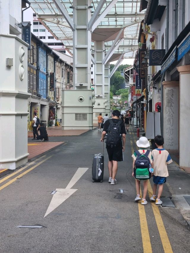 싱가포르의 이국적인 거리, 차이나타운
