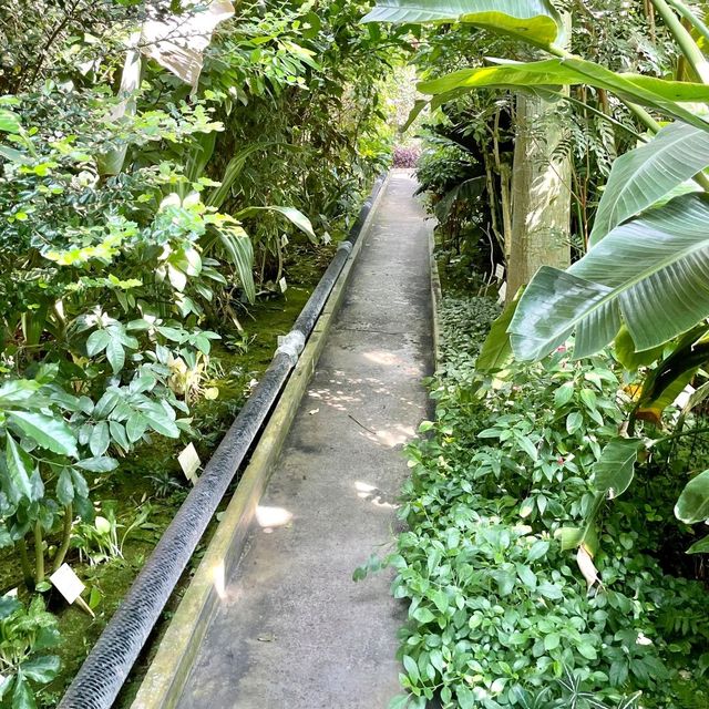 熱帯植物の楽園　熱海バナナワニ園