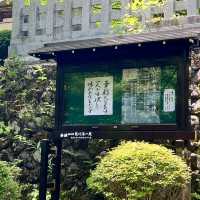 【福島】樹齢100年超えの樹木に癒される山の中の寺院