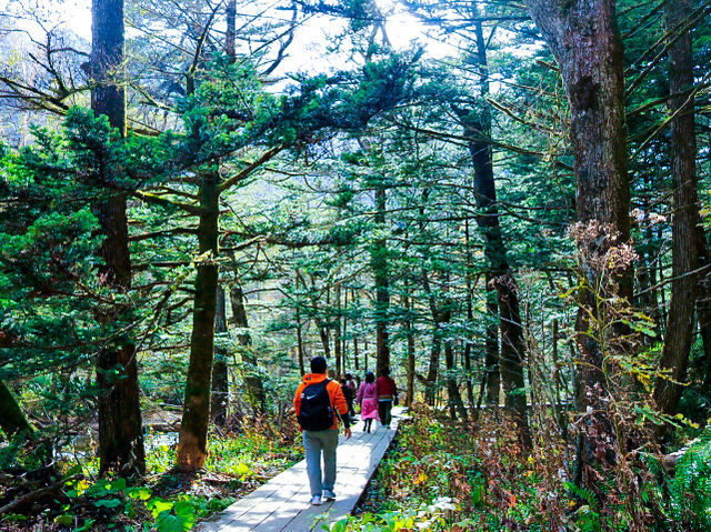 Mùa thu Kamikochi,nagano,japan