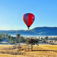 🇦🇺Gold Coast: Where Koalas, Beaches, and Air Balloons Collide in Paradise! 🌴🐨🏖️🎈