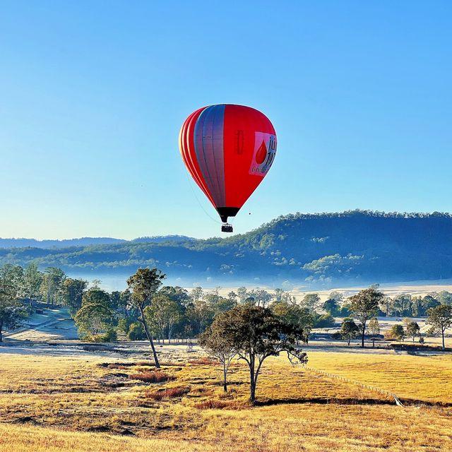 🇦🇺Gold Coast: Where Koalas, Beaches, and Air Balloons Collide in Paradise! 🌴🐨🏖️🎈