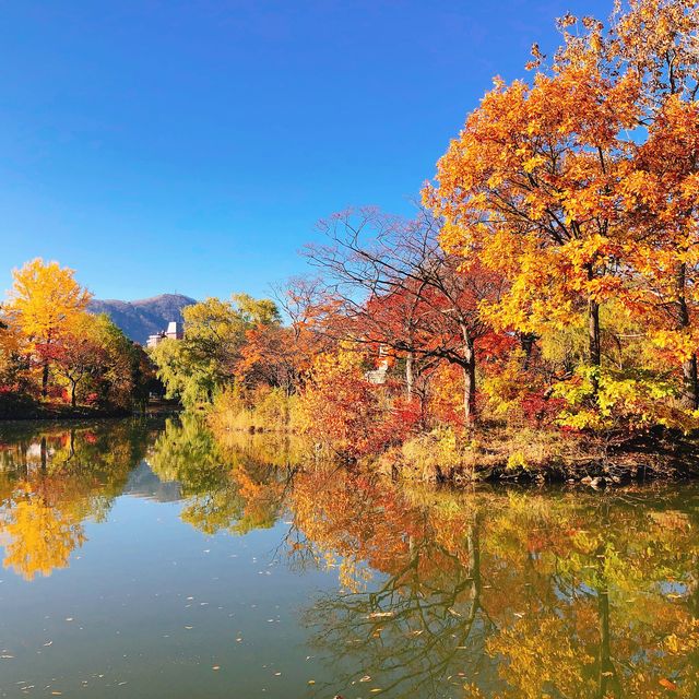 飽覽秋天全貌～札幌 中島公園