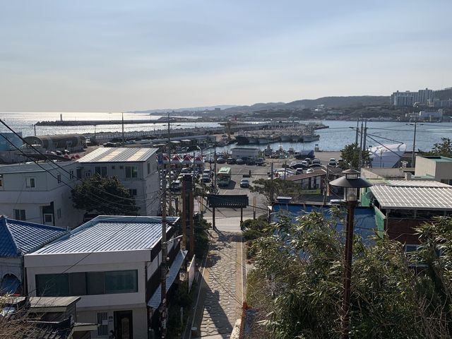 韓国ドラマ“椿の花咲く頃”ロケ地。